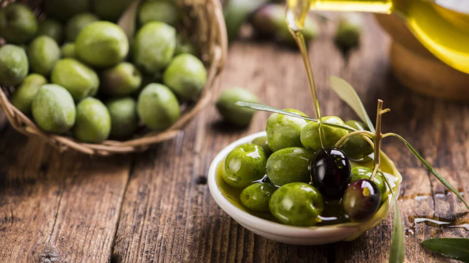 oliva aceitunas